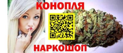 прущие грибы Канаш