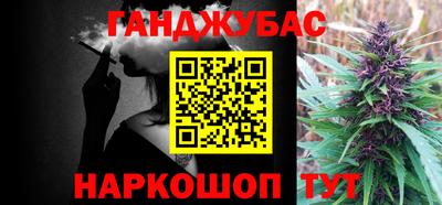 прущие грибы Канаш