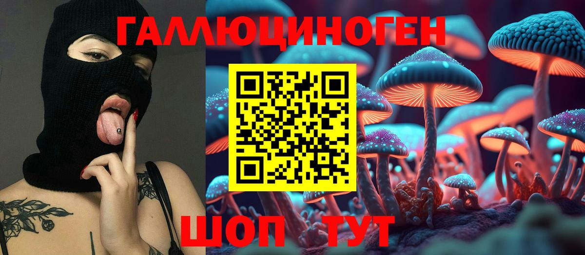 Благовещенск  Галлюциногенные грибы Cubensis  Вход с VPN 