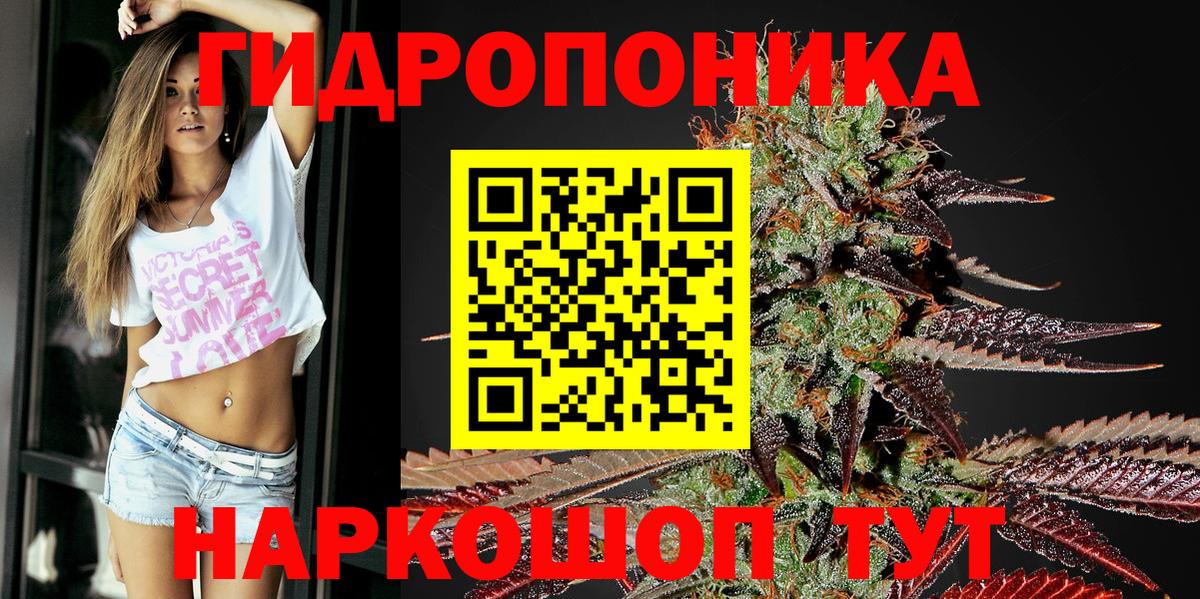 Бошки Шишки MAZAR Благовещенск